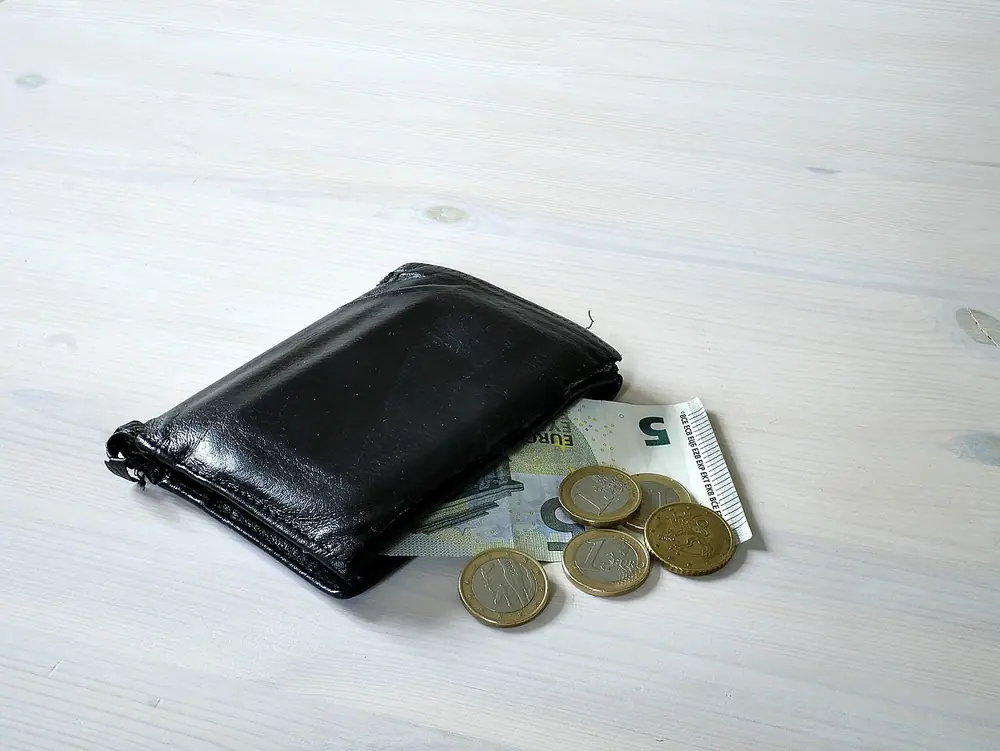 cartera con efectivo