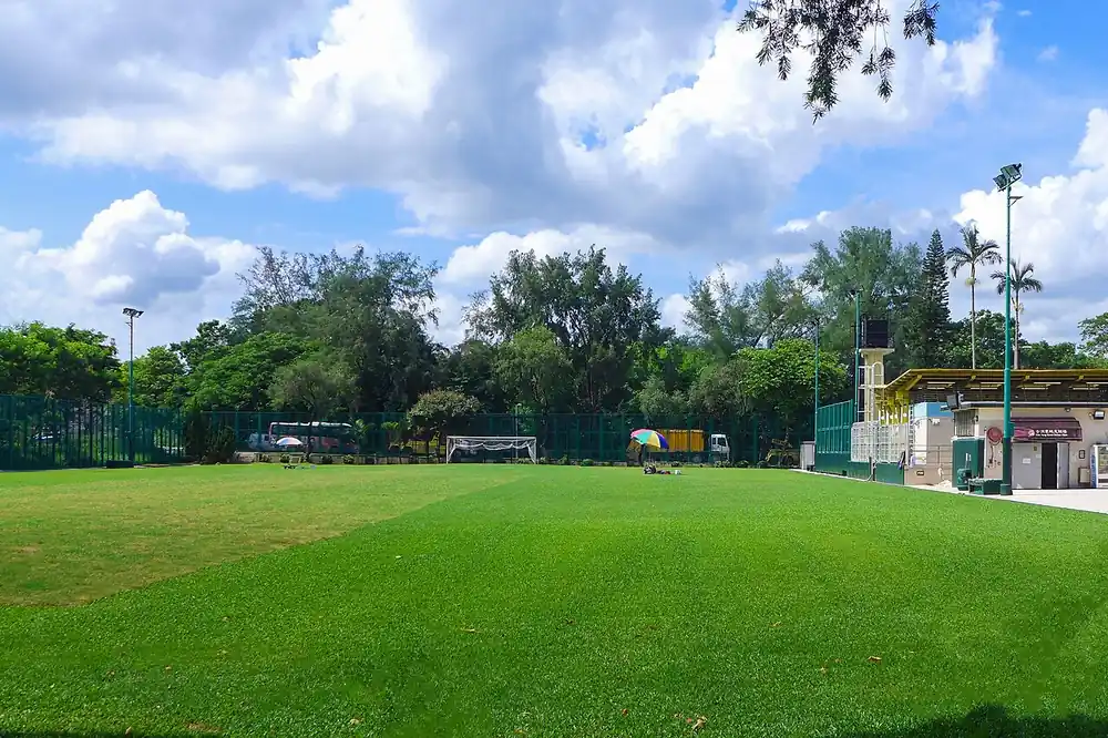 Estrategia - cancha de futbol de pasto