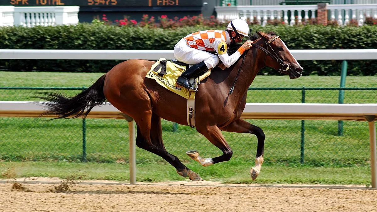 Horse racing - como apostar en el hipódromo de las américas